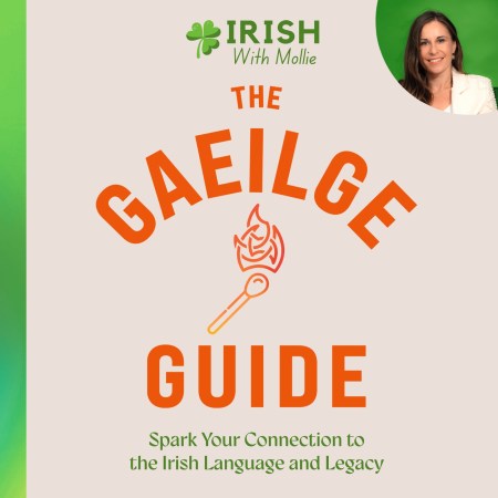 The Gaeilge Guide
