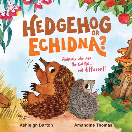 Hedgehog or Echidna?
