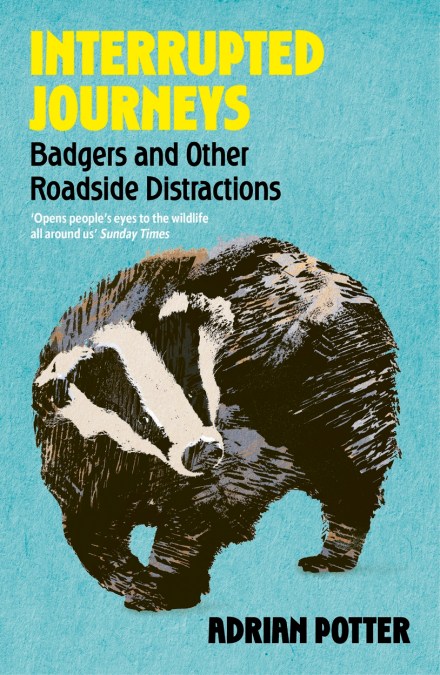 Interrupted Journeys